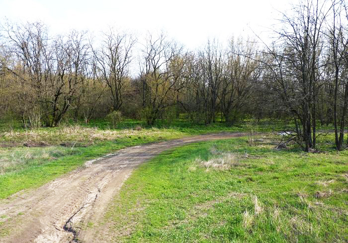 Заказник Яцеве